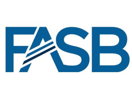 FASB Logosu
